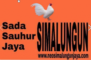 Situs Berita Simalungun